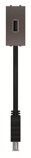 Toma USB hembra-hembra con latiguillo AN