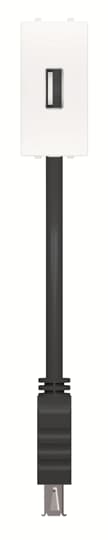Toma USB hembra-hembra con latiguillo BL