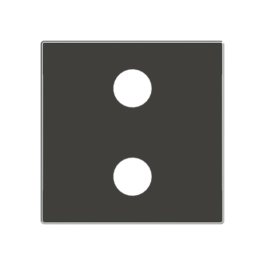 Tapa toma VDI 2RCA NS – Imagen 2 de 3