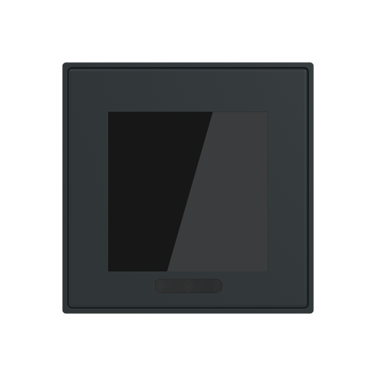 Display 2.4"