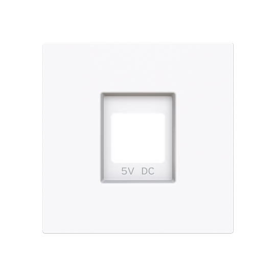 Tapa cargador USB BT