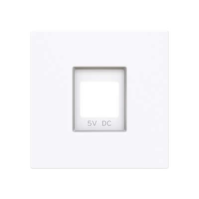 Tapa cargador USB BT