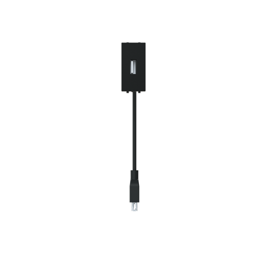 Toma USB hembra-hembra con latiguillo NT