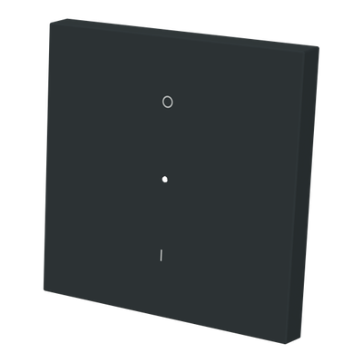 Tecla interruptor bip. c/visor NT