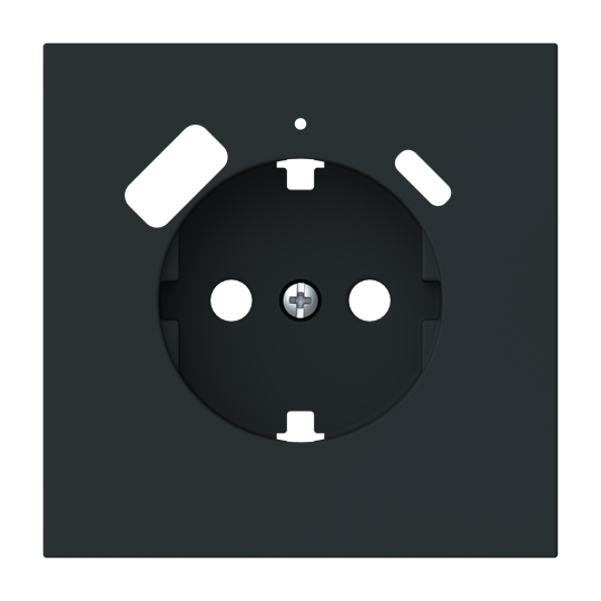 Tapa Schuko + cargador USB A+C  NT