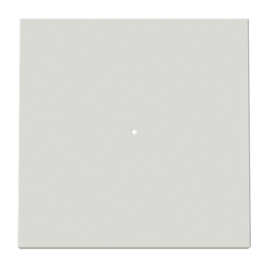 Tecla interruptor c/visor DN – Imagen 3 de 3