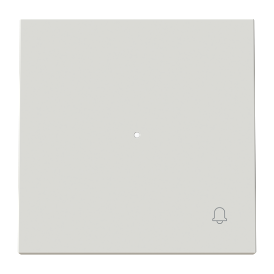 Tecla pulsador timbre c/visor DN – Imagen 2 de 3