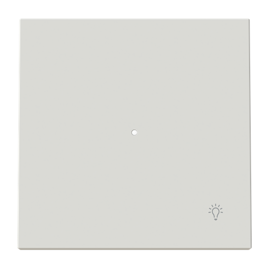 Tecla pulsador luz c/visor DN