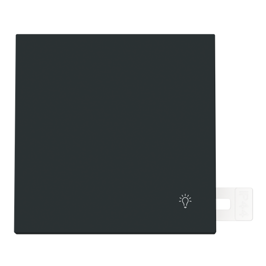 Tecla con símbolo luz IP44 NT – Imagen 2 de 3