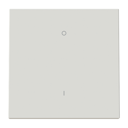 Tecla interruptor bipolar DN – Imagen 2 de 3