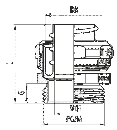 RACOR RM PG21 (DN21)