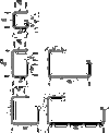 REJITECH 100x100 GC