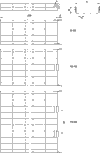REJIBAND CLICK 60X150 C8