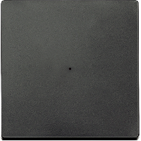CONNECT radio push-button, 1-gang, anthracite, System M