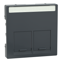 Tapa RJ45 doble Antracita
