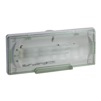 EXIWAY ONE ACT IP65 18W 3h 200Lm No Permanente