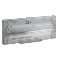 EXIWAY F ONE ACT IP65 24W 1h 600Lm No Permanente