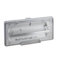 EXIWAY F ONE STD IP65 11W 1h 525Lm No Permanente