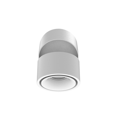 Colour Switchable 12W Adjustable Surface Mount Ceiling Spot - White