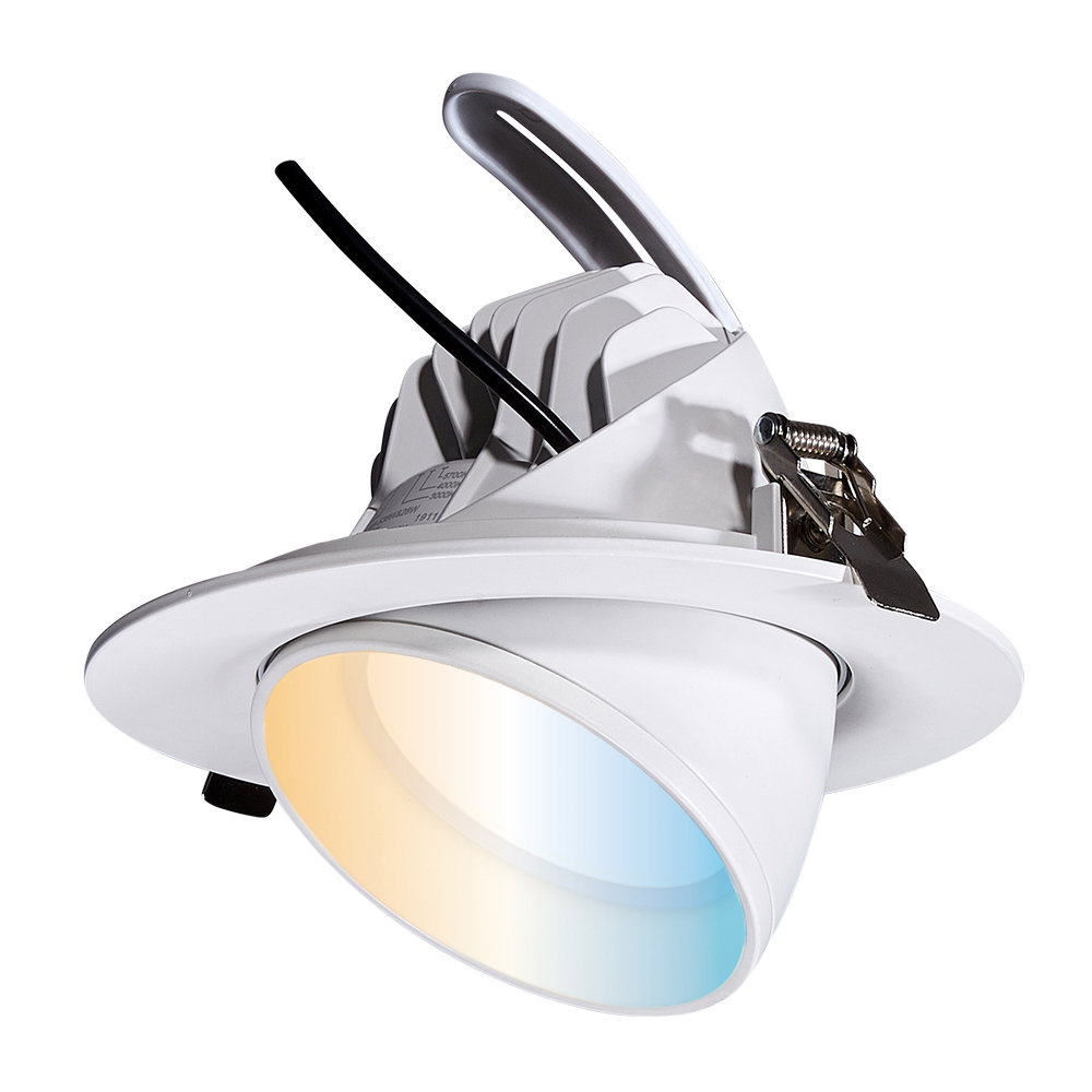 Boutica Adjustable 38W Colour Switchable Retail Wallwasher