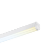 Aurora BatPac™CWS 31W/54W Upto 7850lm 3000K/4000K/6500K 1500mm Linear