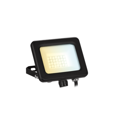 VelaCS 10W Adjustable IP65 Colour Switchable Floodlight