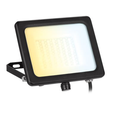 VelaCS 50W Adjustable IP65 Colour Switchable Floodlight