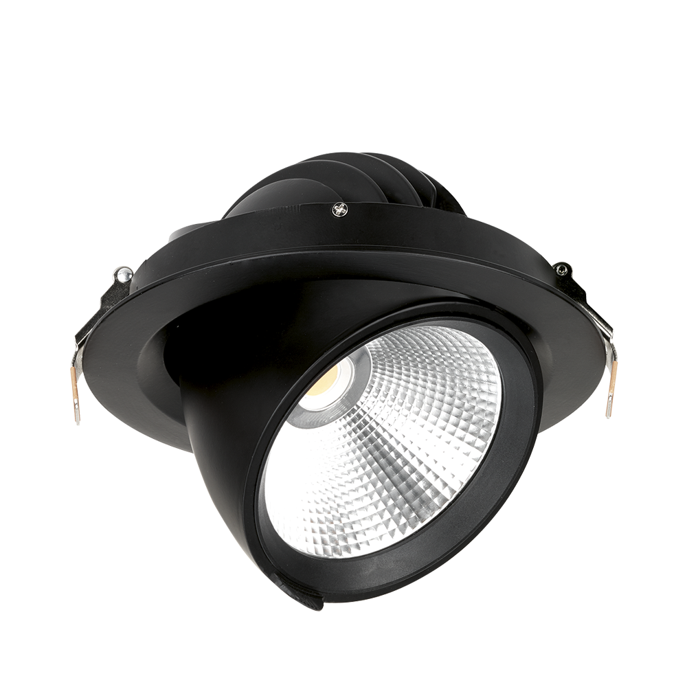 230V 30W LED 24deg Adjustable Wallwasher DALI Black 4000K