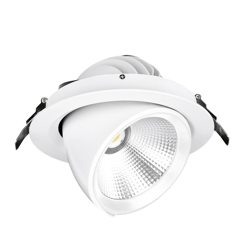 230V 30W LED 45deg Adjustable Wallwasher DALI White 4000K
