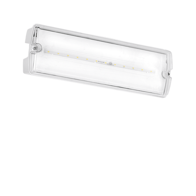 Aurora 3W Maintained Emergency Bulkhead with Manual Test Function