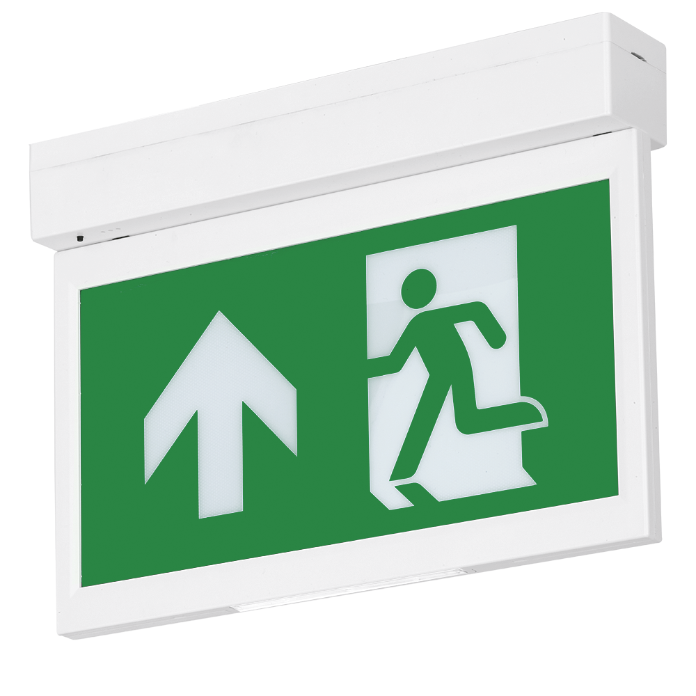 Aurora Emergency Exit Blade Recess Kit