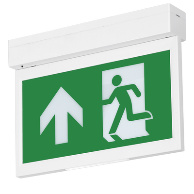 Aurora Emergency Exit Blade Recess Kit