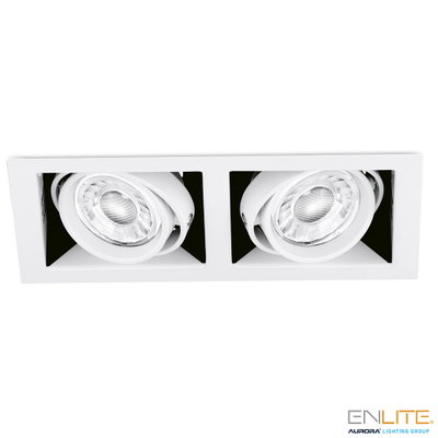 Aurora Adjustable EDLM™ Twin Multiple Downlight - Satin Silver