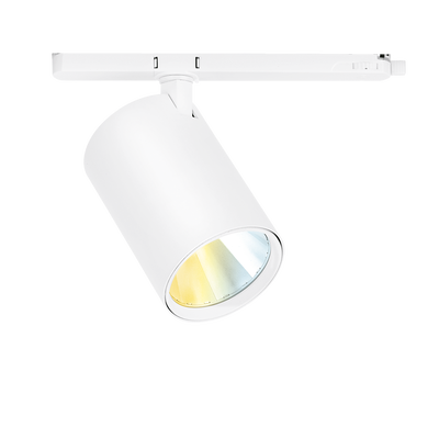 BimPro™CS Colour Switchable Three Circuit Track 45deg Spotlight - White