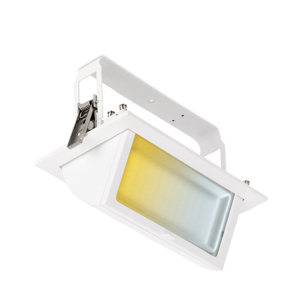 Prysim™CS Colour Switchable IP65 Rectangular Wallwasher - DALI