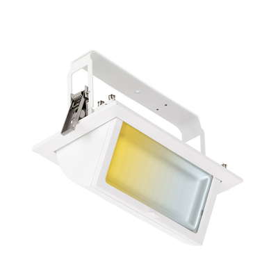 Prysim™CS Colour Switchable IP65 Rectangular Wallwasher - DALI