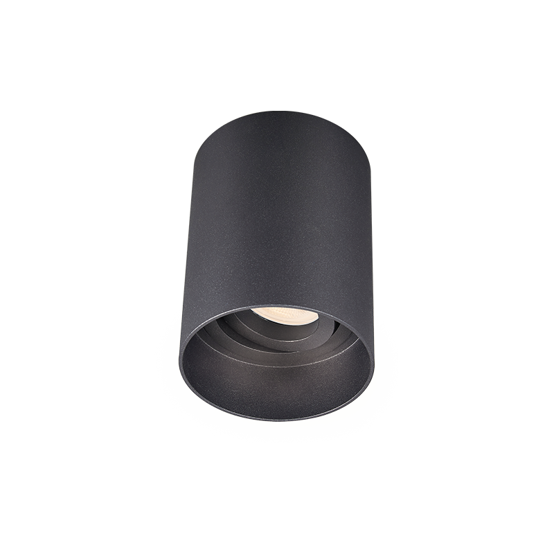 SM2™ Baffled Adjustable Surface Mount Downlight - Black