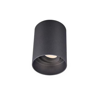 SM2™ Baffled Adjustable Surface Mount Downlight - Black
