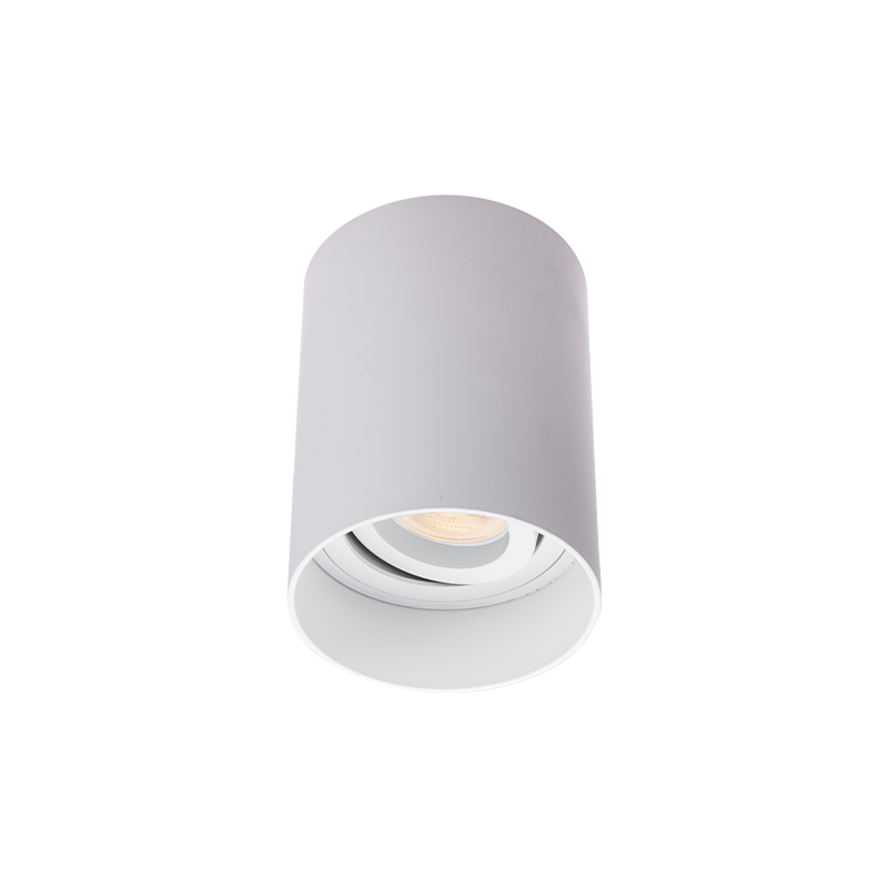 SM2™ Baffled Adjustable Surface Mount Downlight - White