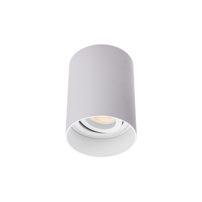SM2™ Baffled Adjustable Surface Mount Downlight - White