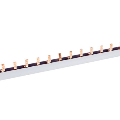 2 pole, 100A 1 metre busbar 