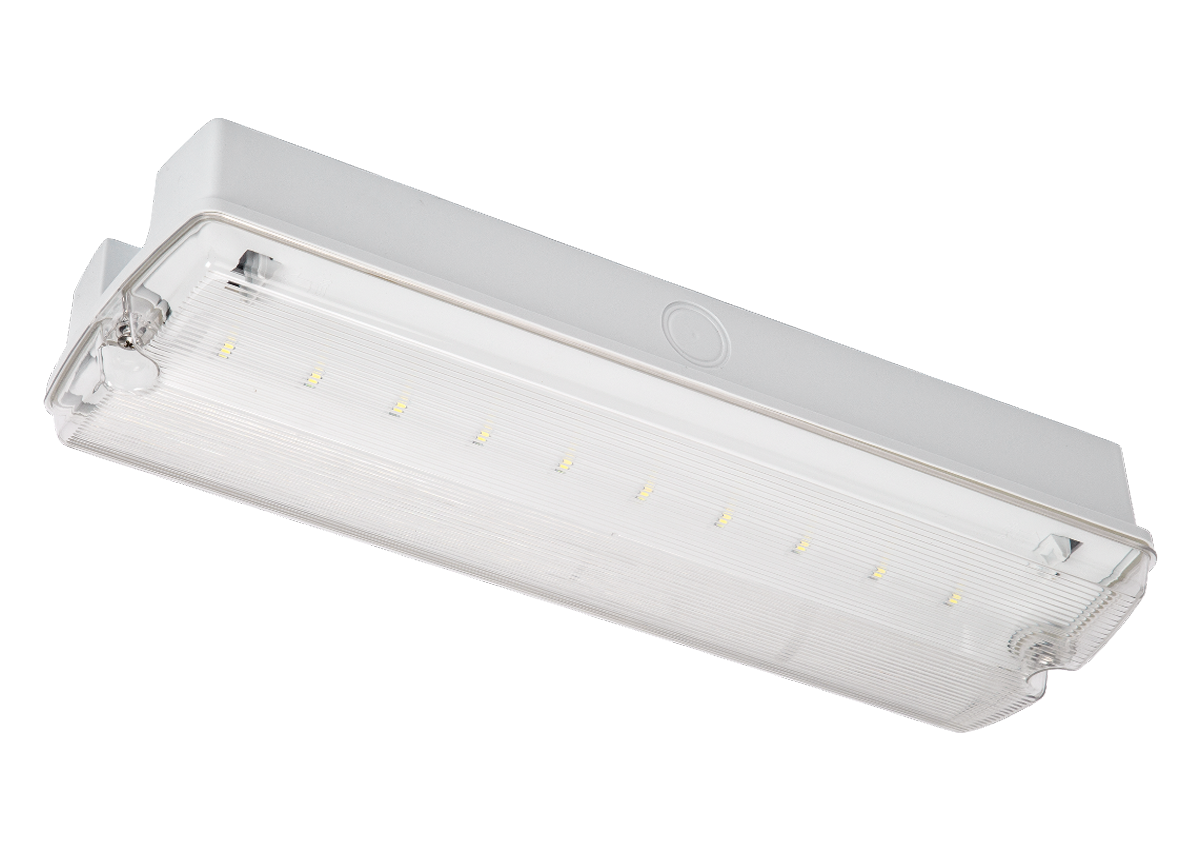 Nebraska LiFe LED IP65 Maint. Bulkhead Euro Legend Pack
