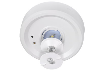 Seneca LiFe LED Non-Maint. Surface Mount Downlight