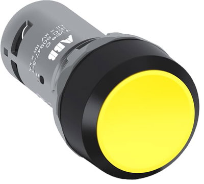 PUSHBUTTON#CP2-10Y-20