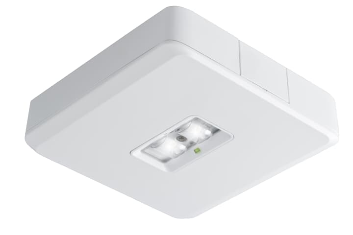 LED 2D M3 WH/OPL-OPT IR2
