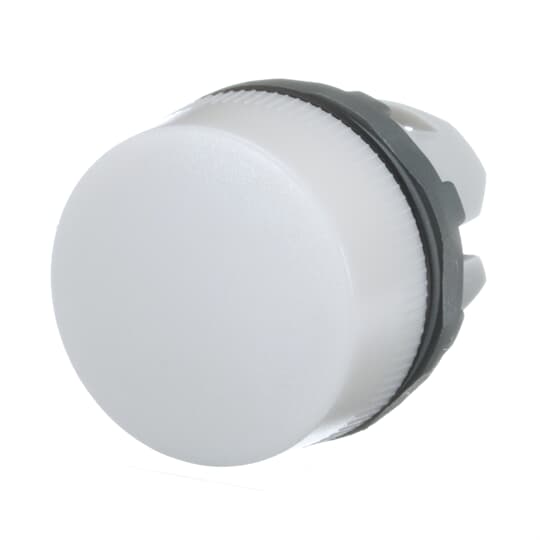 ML1-100W Pilot Light WHITE