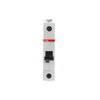 S201M-D 2 Miniature Circuit Breaker