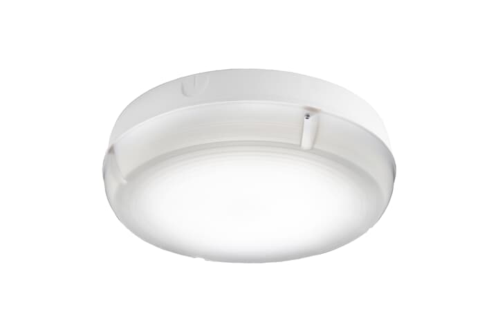 LED 2D M3 WH/CLR-OPT SLFTST