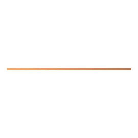 ZX1042 Copper Bar 12x5mm 3F