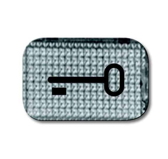 2145 TR Symbol, door